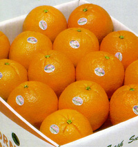 大玉オレンジ