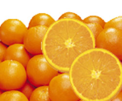 Premium Navel Orange