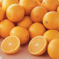 オレンジ Mサイズ