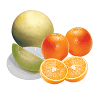 Honeydew Melon and Orange