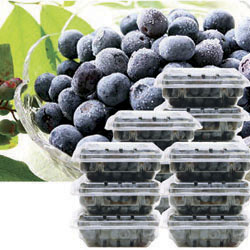 Fresh Premium Blueberry (By Air)