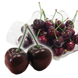 Super Premium Dark Cherry (LL Size)