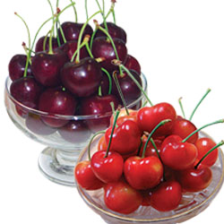 Super Premium Cherry Set (LL Size)