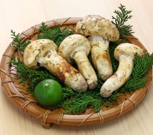 北米産 特選一級品　松茸