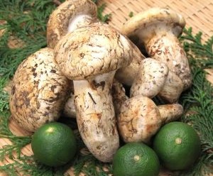 北米産 お徳用 松茸