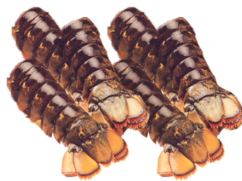 オマールロブスターテール（北米産）