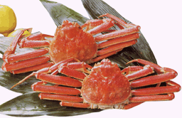 Snow Crab (Boiled & Frozen)